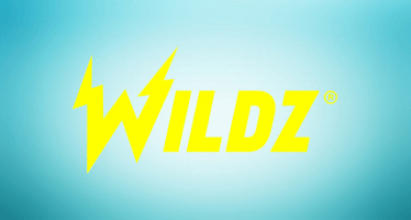 Wildz-Kokemuksia