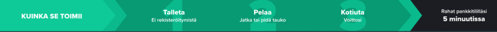 Nain toimii Ninja Casino